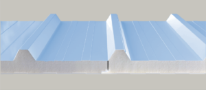 Exposed nail type plug-in interface form