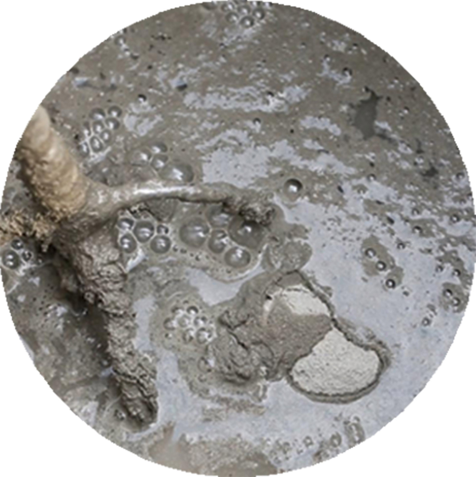 Mix bonding mortar