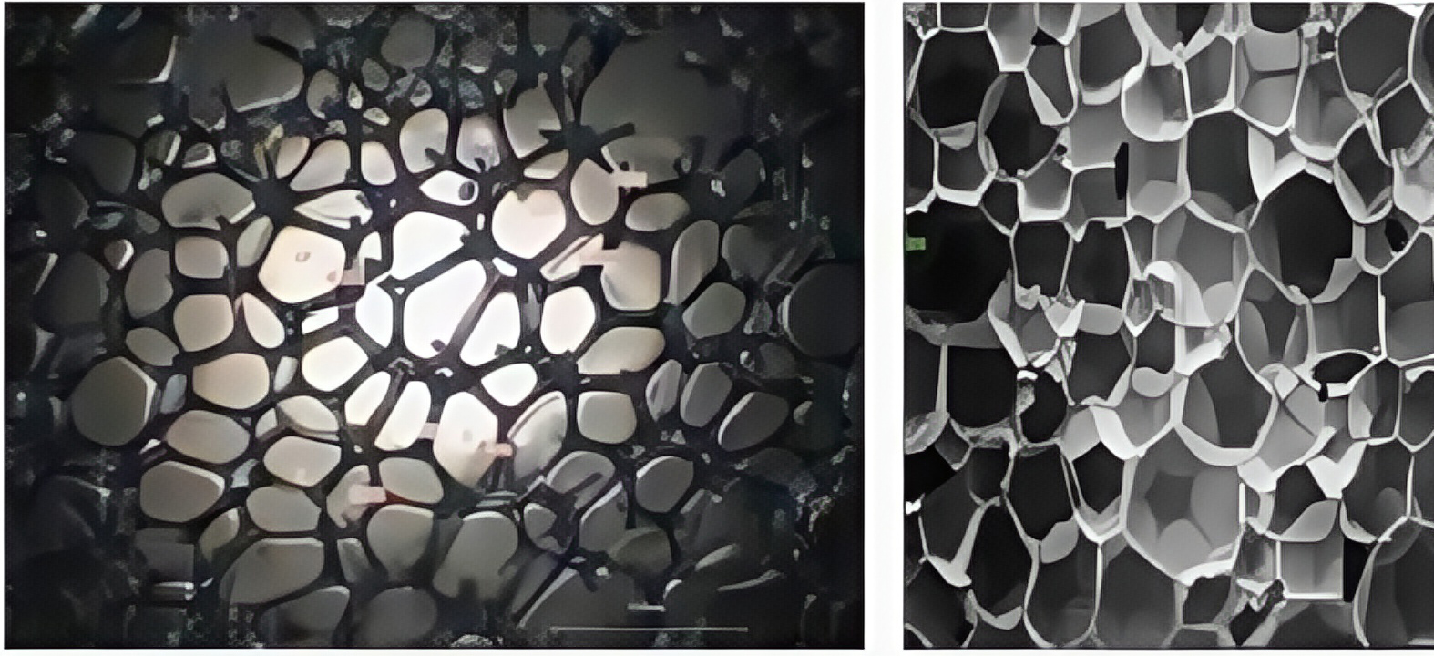 Microscope photo of foam macrostructure