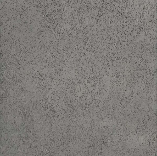 WB462 Texture Paint