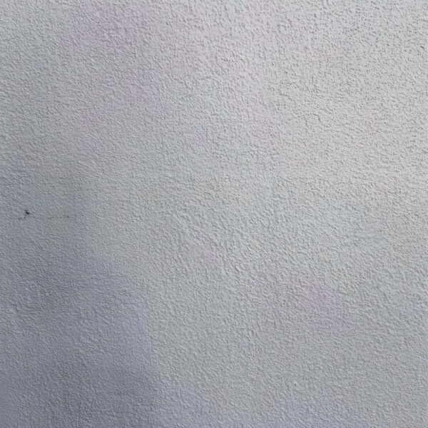 WB462 Texture Paint