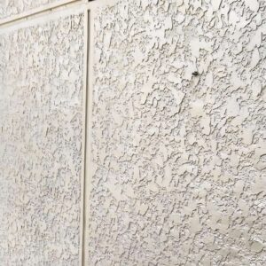 WB162 Exterior Wall Elastic Latex Paint