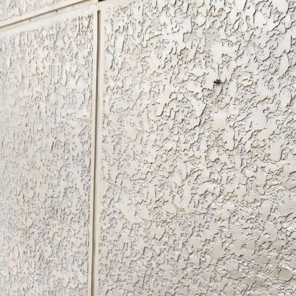 WB162 Exterior Wall Elastic Latex Paint