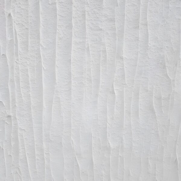 WB462 Texture Paint