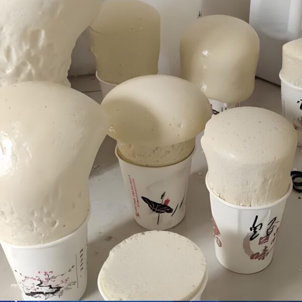 B1/B2 grade polyurethane rigid foam spray combination for cold storage