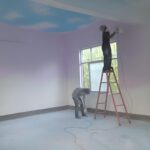 Multi-Functional Healthy and Environmentally Friendly Interior Wall Paint