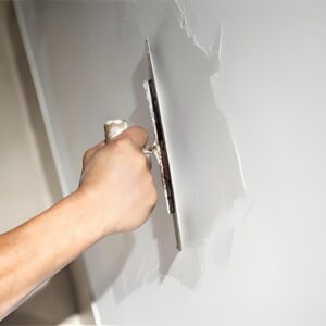 WN961 Inorganic Interior Wall Coating