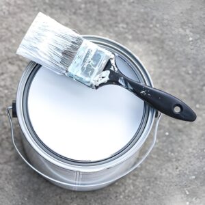 Interior Wall Mold-Proof Latex Paint