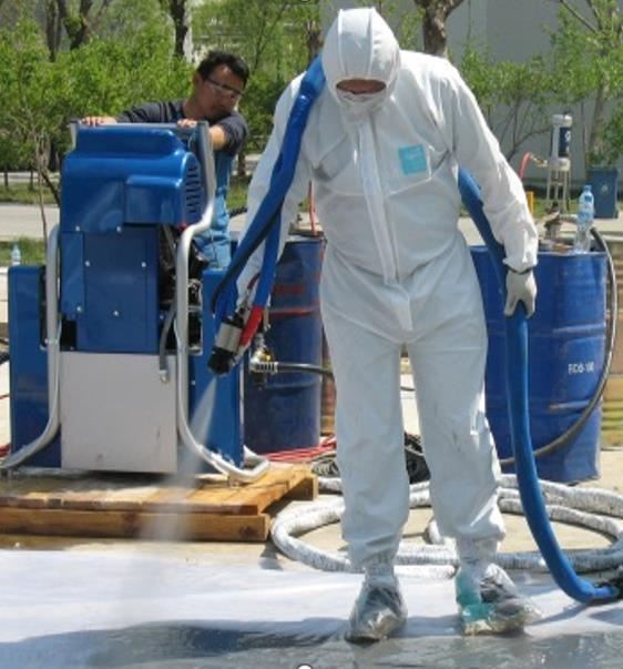 Features and Limitations