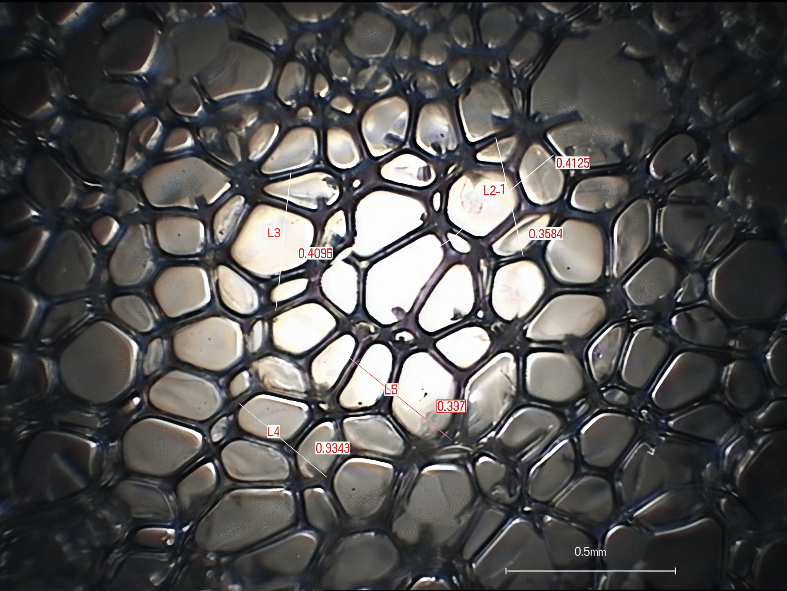The microscopic structure of polyurethane bubbles