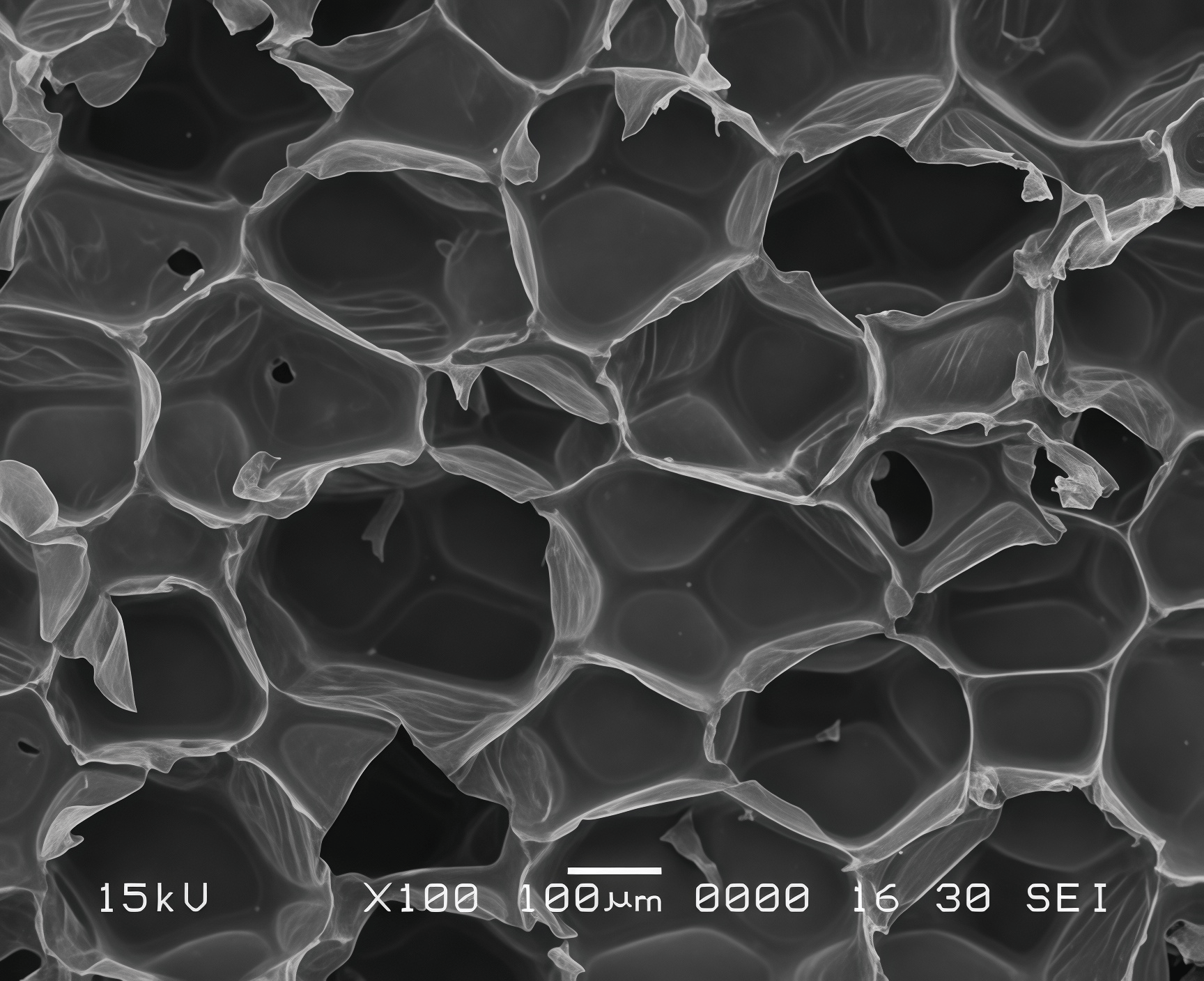 The microscopic structure of polyurethane bubbles