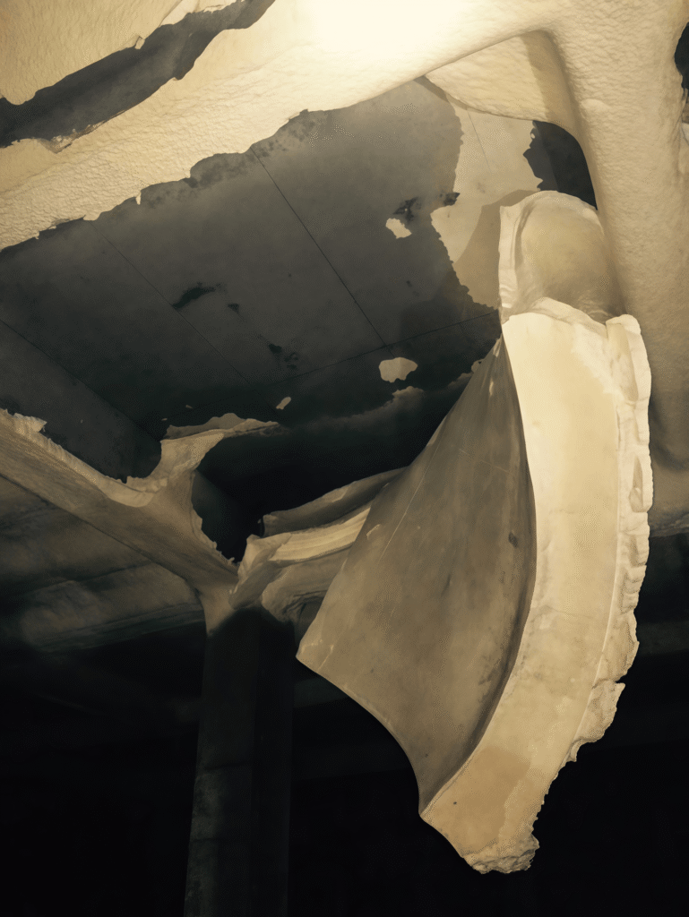 Silicone Oil (Foam Stabilizer)